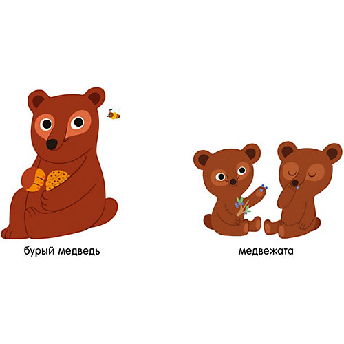 Мои первые слова "Животные", Первые книжки малыша от Clever