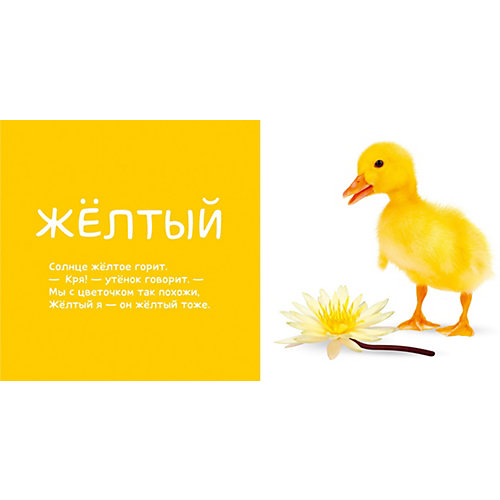 Первые слова. Я учу цвета. Фотокнига со стихами от Clever