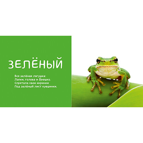 Первые слова. Я учу цвета. Фотокнига со стихами от Clever