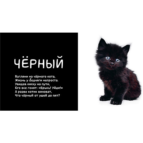 Первые слова. Я учу цвета. Фотокнига со стихами от Clever
