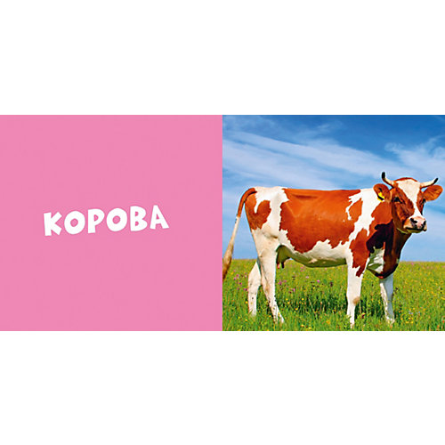 Первые слова. Животные. Фотокнига от Clever