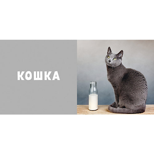 Первые слова. Животные. Фотокнига от Clever