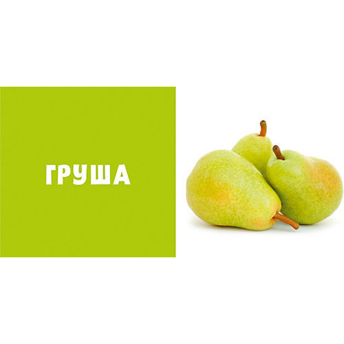 Первые слова. Фрукты и ягоды. Фотокнига от Clever