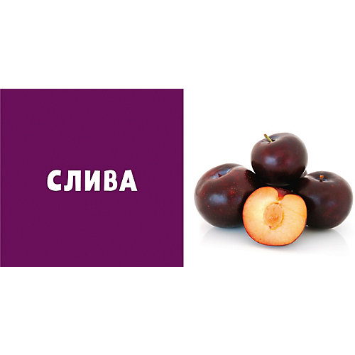 Первые слова. Фрукты и ягоды. Фотокнига от Clever
