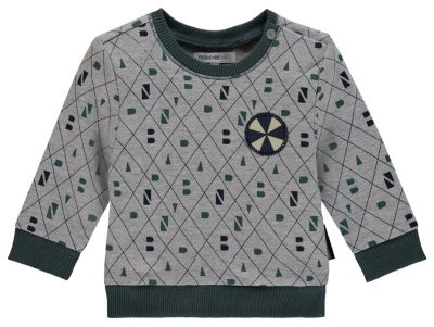 Sweatshirt grau Gr. 50 Jungen Baby
