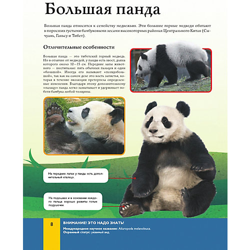 Энциклопедия "Животные" от Издательство АСТ