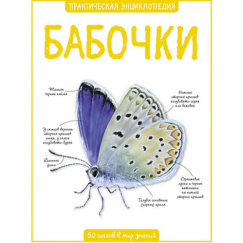 Энциклопедия Махаон "Бабочки" от Махаон