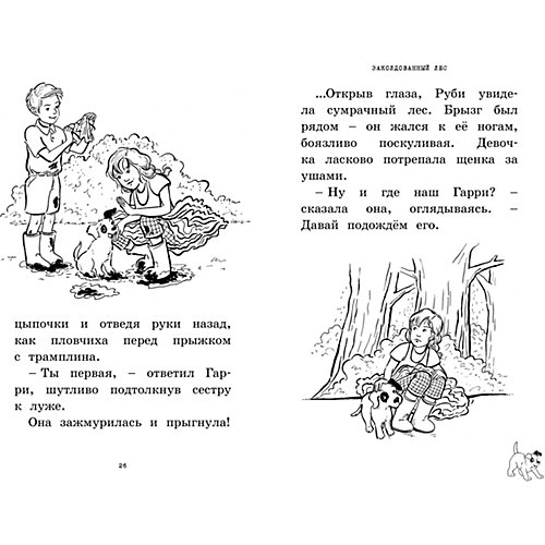 Розовые пуанты, Махаон от Махаон