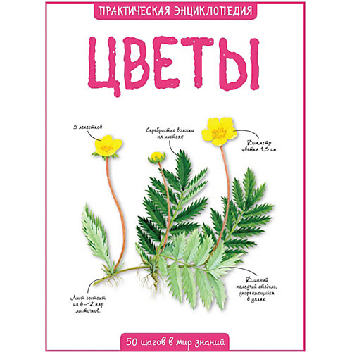 Энциклопедия Махаон "Цветы" от Махаон