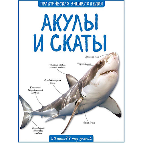Энциклопедия Махаон "Акулы и скаты" от Махаон