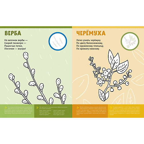 Раскраска с наклейками "Времена года" от Clever