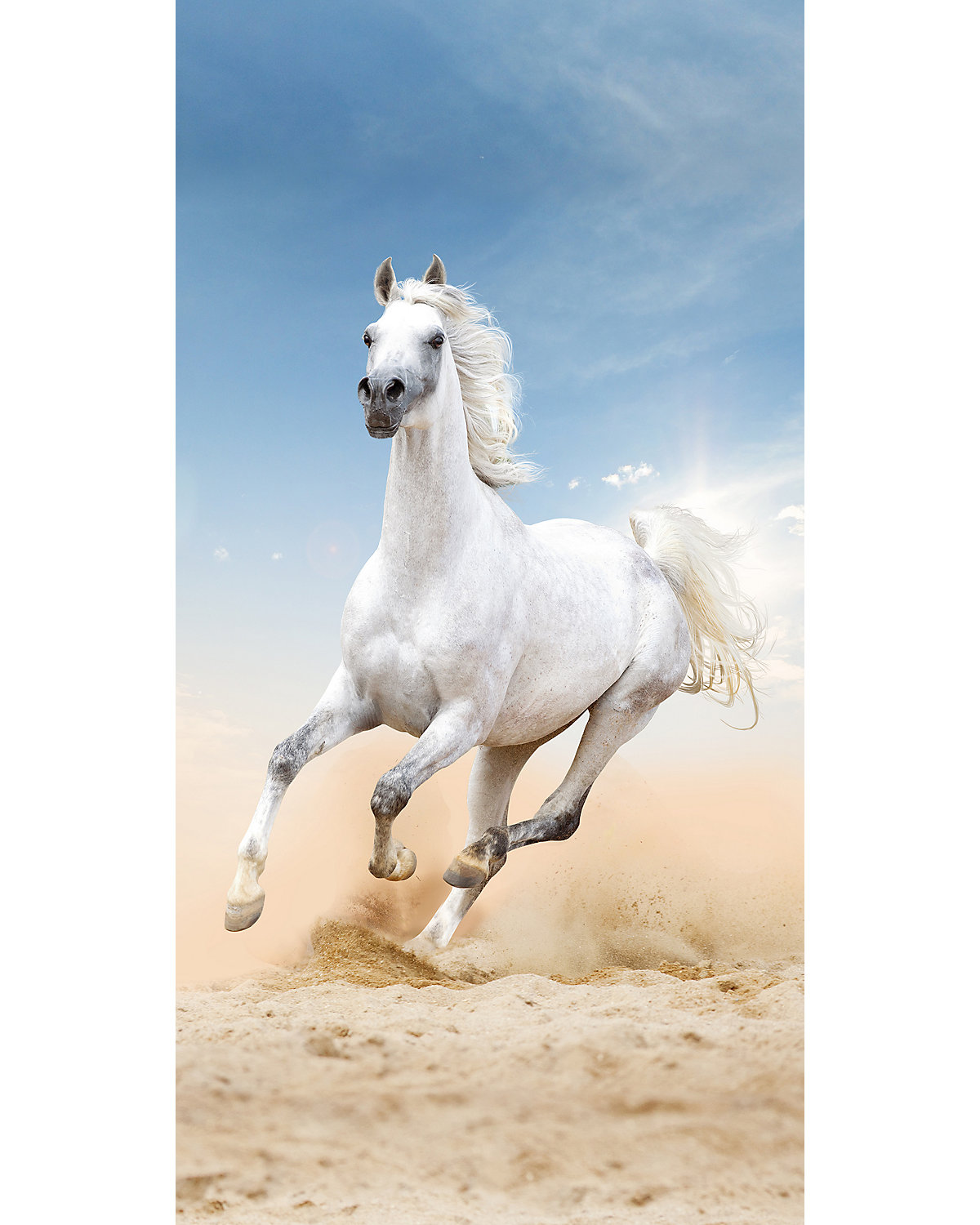 Good Morning Strand- / Badetuch Pferd 75 x 150 cm
