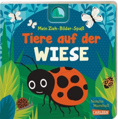 Buch - Mein Zieh-Bilder-Spa: Tiere auf der Wiese