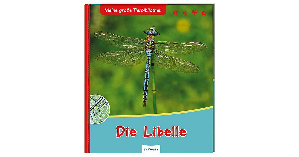 Buch - Meine große Tierbibliothek: Die Libelle