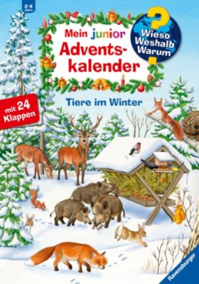 Buch - Adventskalender Tiere im Winter