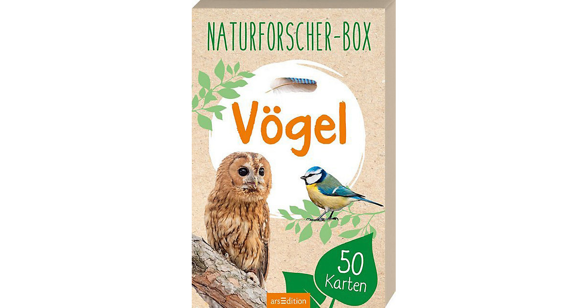Buch - Naturforscher-Box: Vögel, 50 Karten