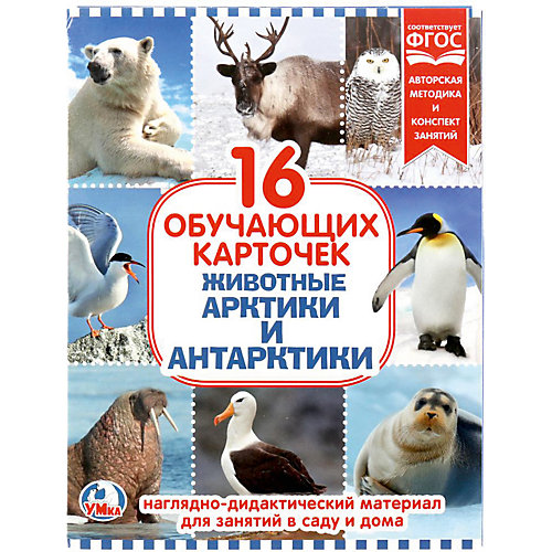 Обучающие карточки Умка «Животные Арктики и Антарктиды» от Умка