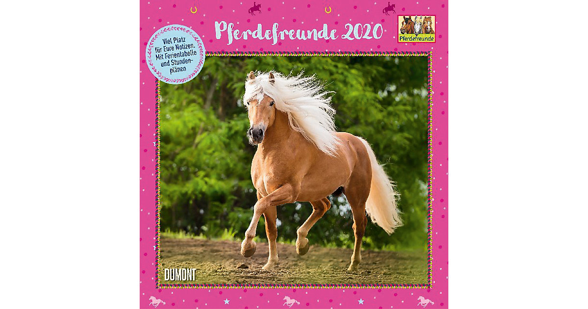 Buch - Pferdefreunde 2020: Broschürenkalender: Kinder-Kalender: Format 30 x 30 cm