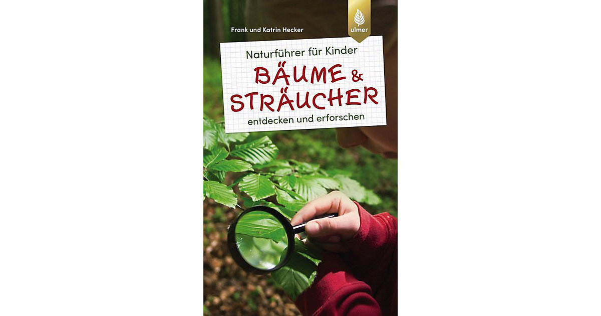 Buch - Naturführer Kinder: Bäume und Sträucher Kinder