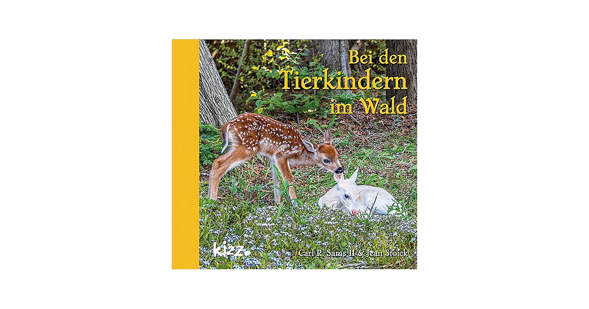 Buch - Bei den Tierkindern im Wald