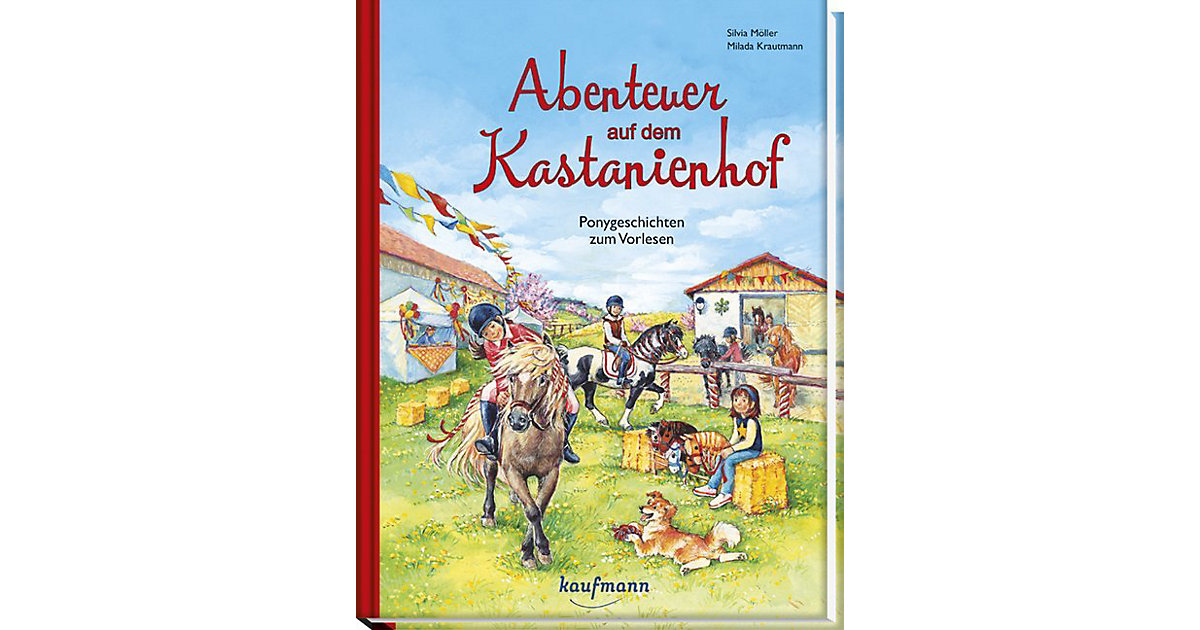 Buch - Abenteuer auf dem Kastanienhof, Band 3