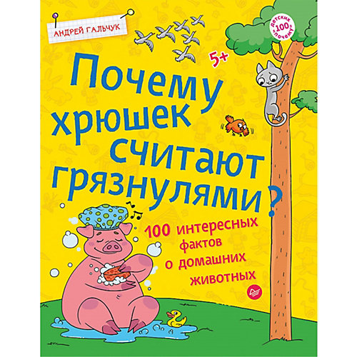 Почему хрюшек считают грязнулями? 100 интересных фактов о домашних животных от ПИТЕР