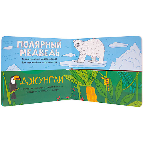 Книжка с секретами "Найди пару", Кто где живет? от Мозаика-Синтез