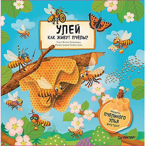 Улей. Как живут пчёлы? от ПИТЕР
