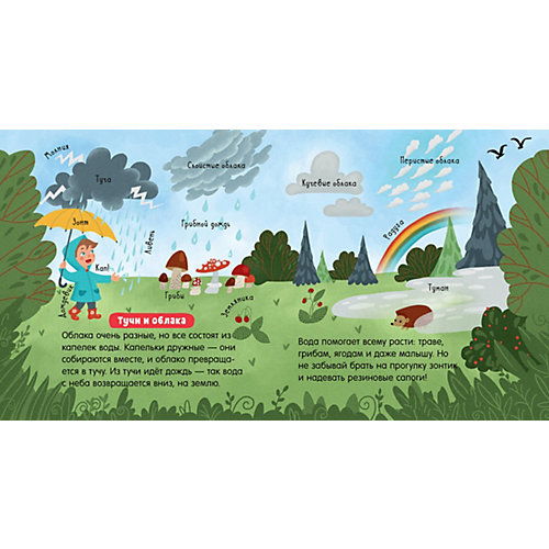Познавательная книга "Наука для малышей" Вода, Н. Славина от Clever