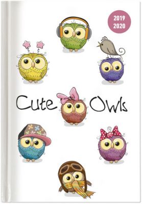 Buch - Collegetimer Cute Owls 2019/2020: Eule, Schlerkalender A5