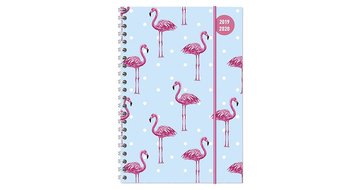 Buch - Collegetimer Flamingo Ringbuch 2019/2020, Schülerkalender A5: Weekly