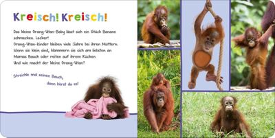 Hör mal rein, wer kann das sein?: Tierbabys, mit Soundeffekten 2