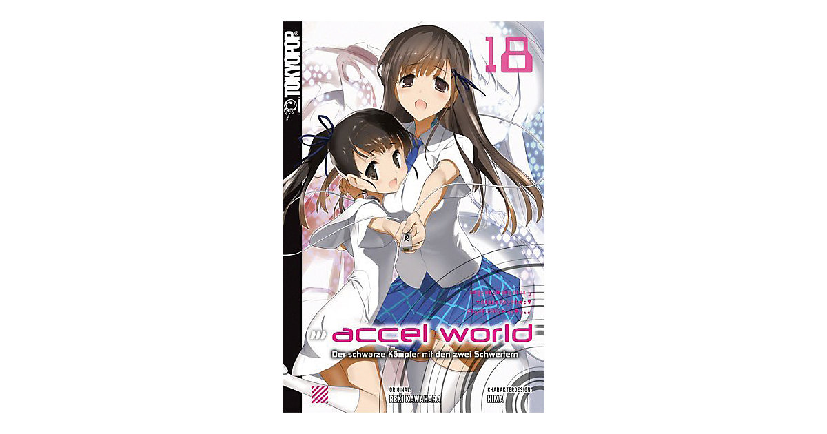 Buch - Accel World: Novel 18