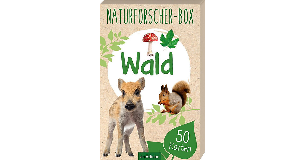 Buch - Naturforscher-Box: Wald, 50 Karten
