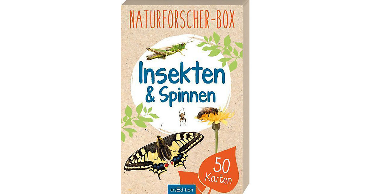Buch - Naturforscher-Box: Insekten & Spinnen, 50 Karten