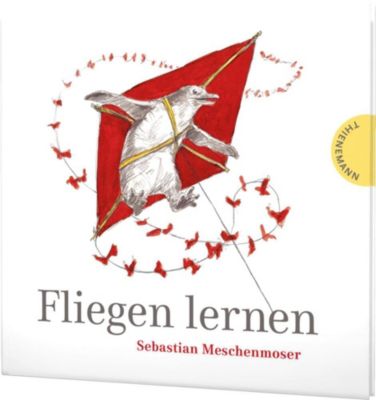 Buch - Fliegen lernen