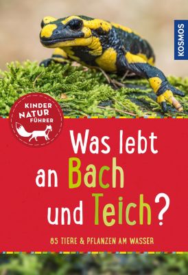 Image of Buch - Kindernaturführer: Was lebt an Bach und Teich?