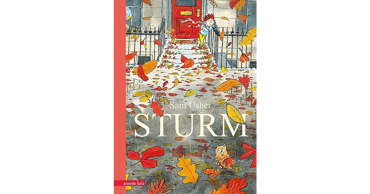 Buch - Sturm