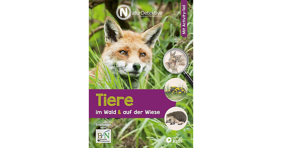 Buch - NaturDetektive: Tiere im Wald & auf der Wiese