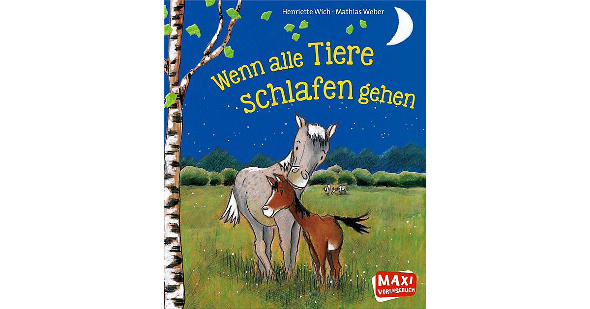 Buch - Maxi Vorlesebuch: Wenn alle Tiere schlafen gehen