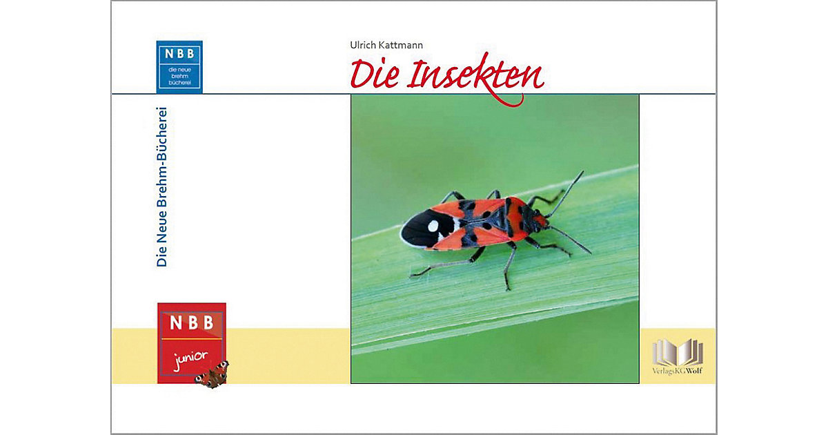 Buch - NBB Junior: Die Insekten, Band 6