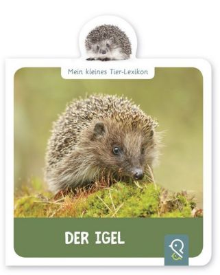 Image of Buch - Mein kleines Tier-Lexikon: Der Igel