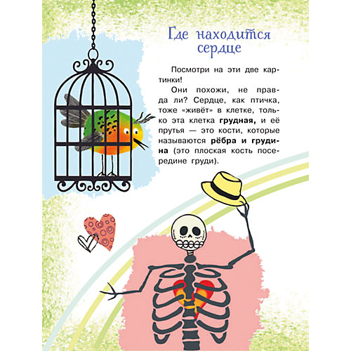 Моя первая книга обо всем на свете "Как устроен человек?", Иванова В. от Издательство АСТ