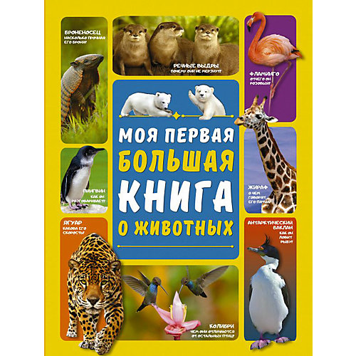 Моя первая большая книга о животных от Издательство АСТ