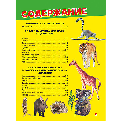 Моя первая большая книга о животных от Издательство АСТ
