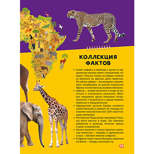 Моя первая большая книга о животных от Издательство АСТ