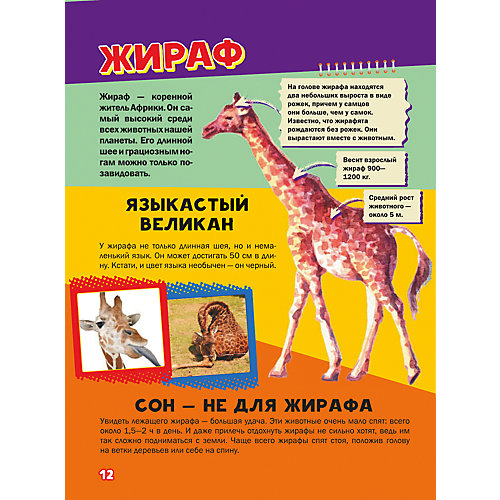 Моя первая большая книга о животных от Издательство АСТ