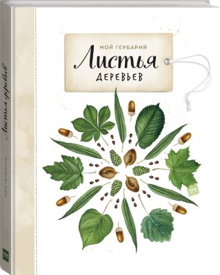 Книга Мой гербарий "Листья деревьев"