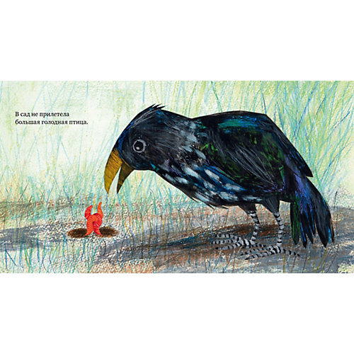 Книга "Книжки-картинки" Марта и Джонатан, П. Горачек от Clever