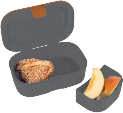 Brotdose Dinosaurier Triceratops 2